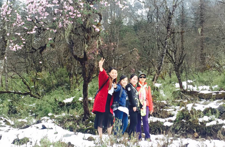 1493704485481917.png 77.png